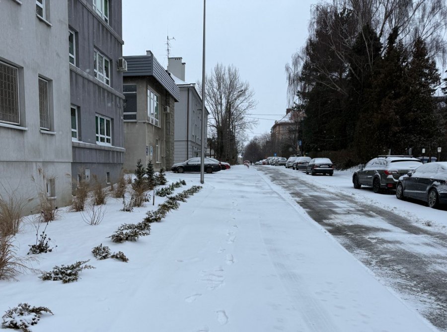 Służby przypominają o obowiązkach. Nieodśnieżony chodnik może słono kosztować - foto