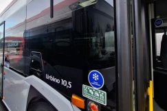 Cztery nowe pojazdy są już w zajezdni. To tradycyjne jednostki napędzane silnikiem diesla - foto