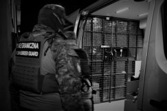 Kolumbijczyk ma kilka dni na wyjazd z miasta. Został zatrzymany w ramach dużej akcji służb - foto