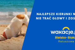 Gdzie jechać na majówkę? Najgorętsze trendy na weekend majowy 2026