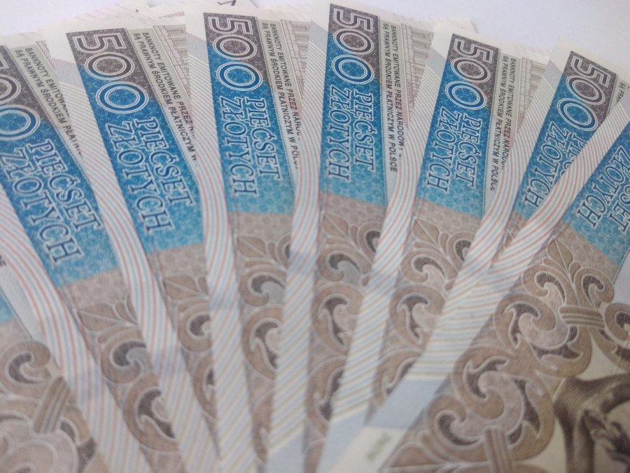 Komu przekazaliśmy najwięcej z 1,5% podatku? Fundacja z Bielska-Białej wśród liderów w kraju