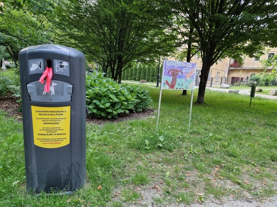 Prychanie i drwiny zamiast woreczka. Sprzątanie po psie to obowiązek, a nie dobra wola!