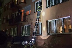 W śmiertelnej pułapce na piętrze. Strażacy ruszyli na ratunek uwięzionemu zwierzęciu - foto
