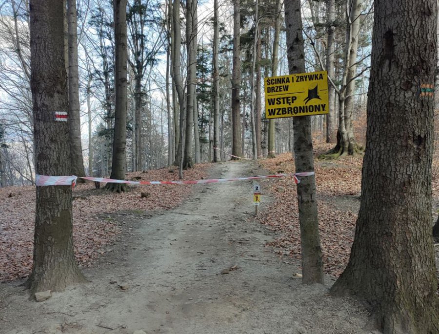 Kompleks pozostaje zamknięty. Trwa remont i wybór operatora na nowy sezon - foto