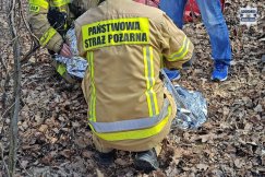 Dramatyczny finał poszukiwań 74-latka. Tragedia była o krok, pomoc przyszła w ostatniej chwili - foto