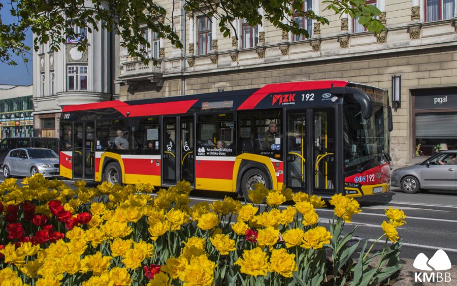 Spore zmiany w rozkładach jazdy autobusów MZK. Sprawdź, jak kursują autobusy w okresie świąt
