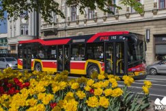 Spore zmiany w rozkładach jazdy autobusów MZK. Sprawdź, jak kursują autobusy w okresie świąt