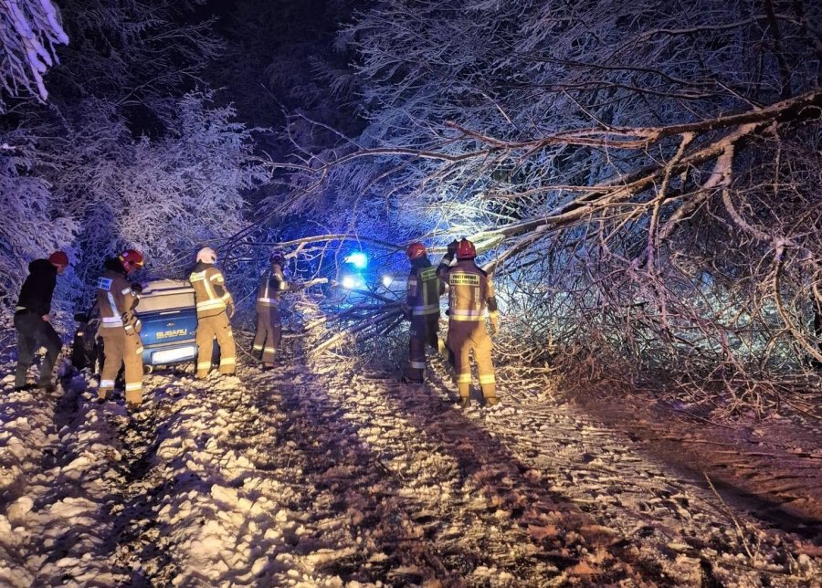 O krok od tragedii na trasie przez Przegibek. Drzewo runęło obok jadącego auta - foto