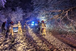 O krok od tragedii na trasie przez Przegibek. Drzewo runęło obok jadącego auta - foto
