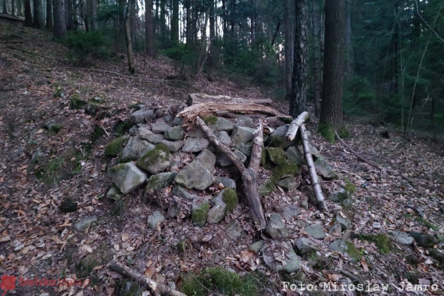 To tu doszło do wypadku z udziałem dziecka? Te przeszkody w lesie to proszenie się o tragedię  - foto