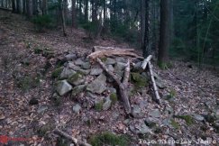 To tu doszło do wypadku z udziałem dziecka? Te przeszkody w lesie to proszenie się o tragedię  - foto