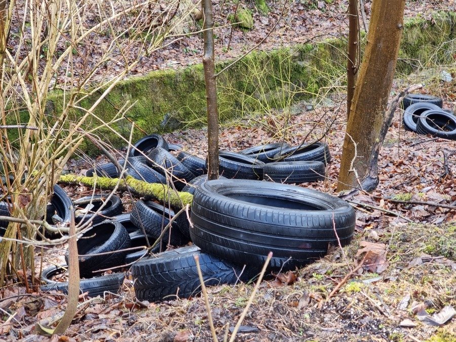 Fotopułapki tropią śmieciarzy. Strażnicy miejscy regularnie zmieniają ich lokalizacje - foto