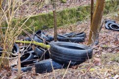 Fotopułapki tropią śmieciarzy. Strażnicy miejscy regularnie zmieniają ich lokalizacje - foto