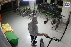 To nie był ich jedyny „występ”? Złodzieje zatrzymani w swoich mieszkaniach - foto i film