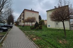 Zwyrodnialec truje psy na bielskim osiedlu? Dwa nie przeżyły, mieszkańcy ostrzegają się nawzajem