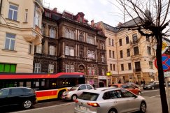 Nietypowa akcja ratunkowa w centrum miasta. Ratowali ptaki uwięzione w pułapce