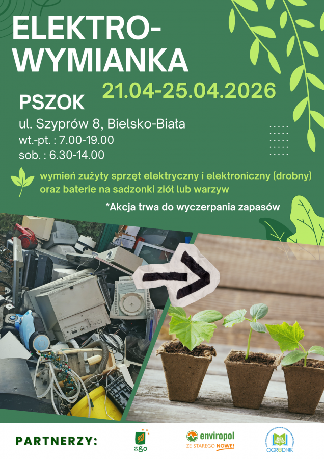 Jak świętować Dzień Ziemi? ZGO zaprasza na eko-wydarzenia!