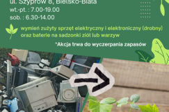 Jak świętować Dzień Ziemi? ZGO zaprasza na eko-wydarzenia!