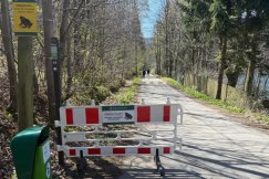 Uważaj pod nogi w Dolinie Wapienicy. Żaby i salamandry ruszyły na miłosne uniesienie - foto