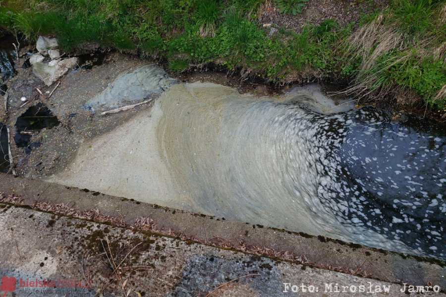 Tajemnicza zawiesina w korycie potoku. Na miejsce wezwano strażacki zastęp chemiczny- foto