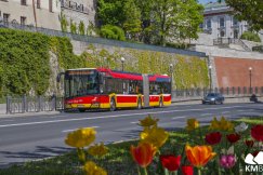 Majówkowe zmiany w MZK. Inne rozkłady jazdy i dodatkowe autobusy po imprezie lotniczej