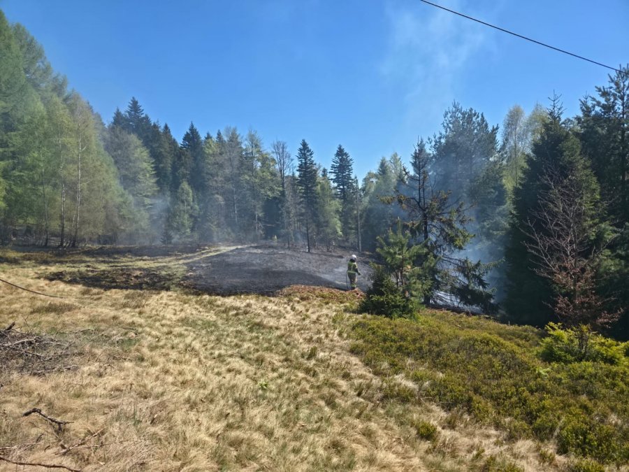 Niebezpieczny pożar na zboczu Magurki. W akcji 11 zastępów, działania utrudniał silny wiatr - foto