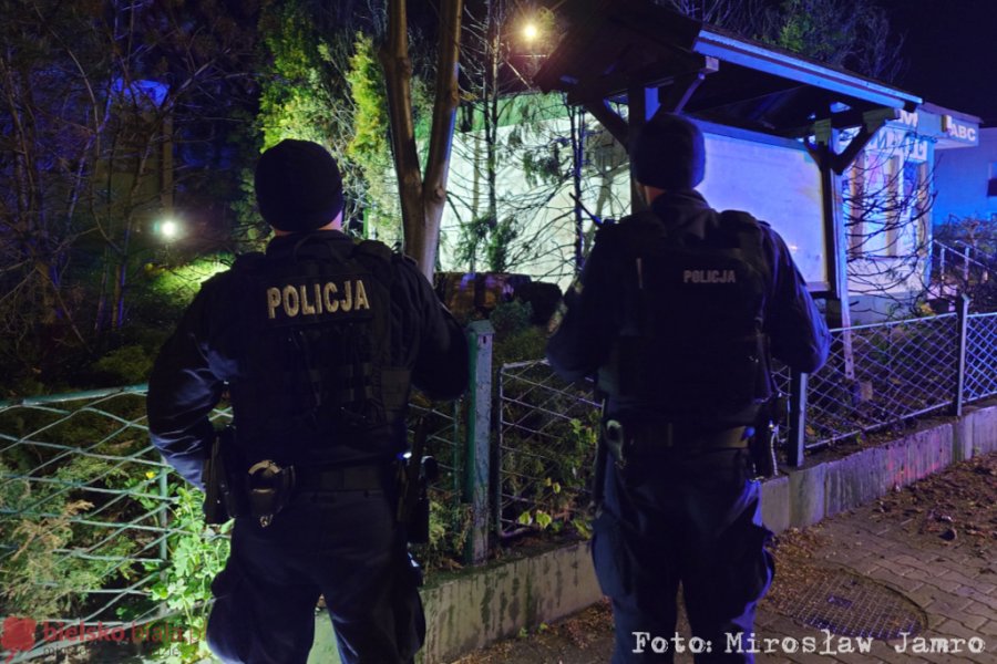 Czy to było podpalenie? Ogniem objęte były drzewa z dwóch stron pustostanu - foto