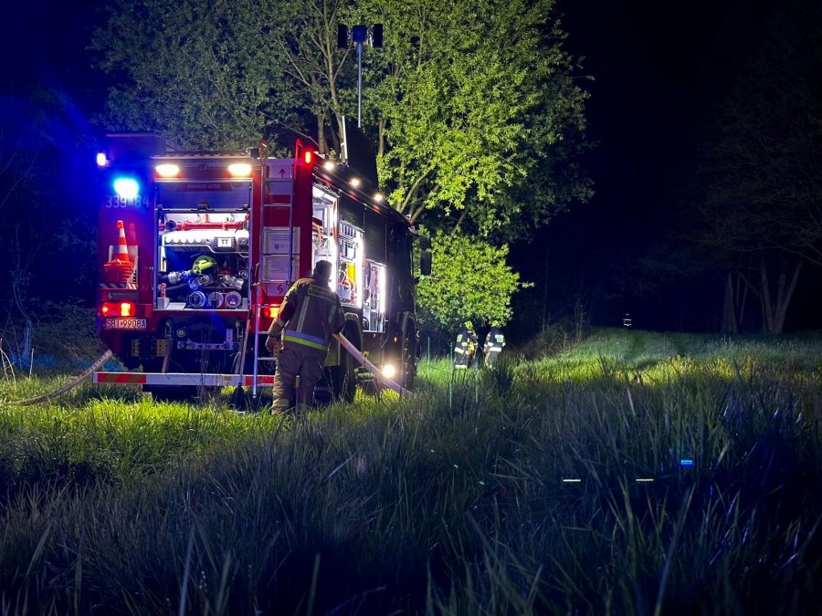 Majówka pod znakiem serii pożarów. Zaprószenie ognia przyczyną pożaru nieużytków? - foto
