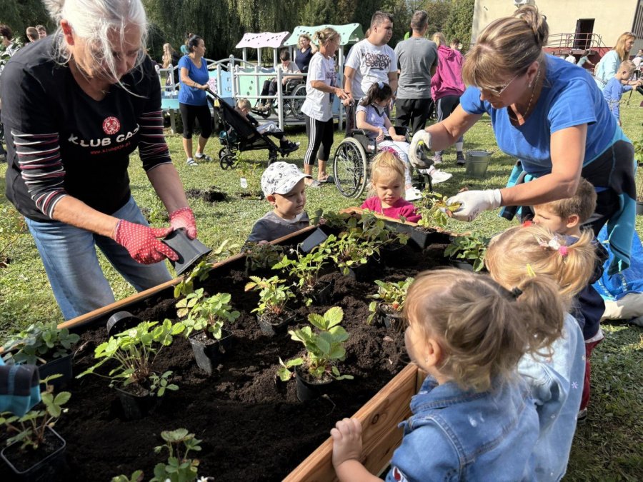 Przy bielskiej szkole powstanie ogród ekologiczny. Będą domki dla owadów i owocowe krzewy - foto