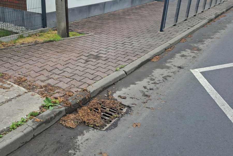 „Zamiast prześwitu w kratkach widać tylko syf”. Procedury wstrzymują potrzebne prace - foto