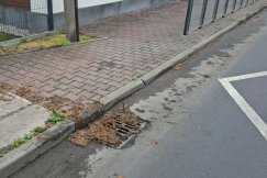 „Zamiast prześwitu w kratkach widać tylko syf”. Procedury wstrzymują potrzebne prace - foto