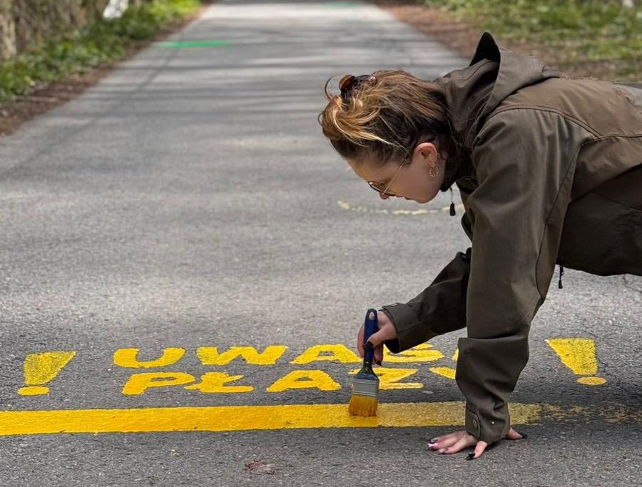 Nietypowe znaki na asfalcie. To nie graffiti, a ważny apel w okresie trwającej migracji - foto