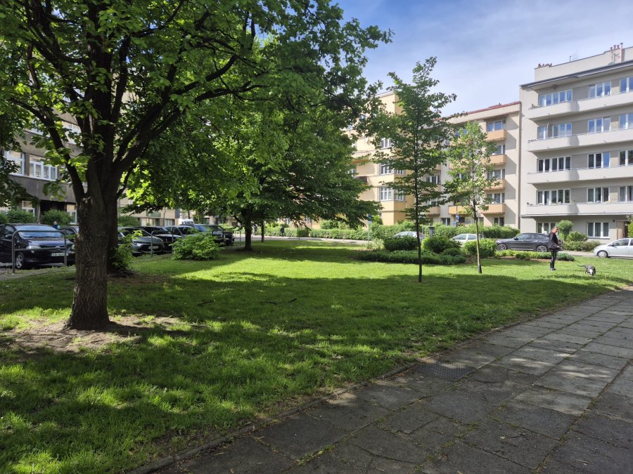 Kuta altana, leżanki i tysiące roślin. Dwa miejskie skwery jeszcze w tym roku przejdą metamorfozę - foto