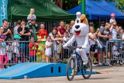 Wyścig z legendarnym czworonogiem. Trwają zapisy na Rowerowy Puchar Reksia