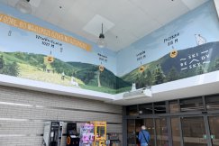 Beskidzkie krajobrazy zachwycają na Sarnim Stoku. Nowe murale zapowiadają regionalny festiwal - foto