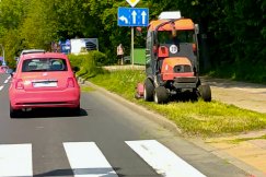 Mieszkańcy kpią z „Zielonej Stolicy Kultury”, a MZD utknął w przetargu. Ruszyły prace interwencyjne