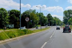 MZD przeprasza za zarośnięte skrzyżowania. Dyrektor zapowiada konsekwencje personalne - foto
