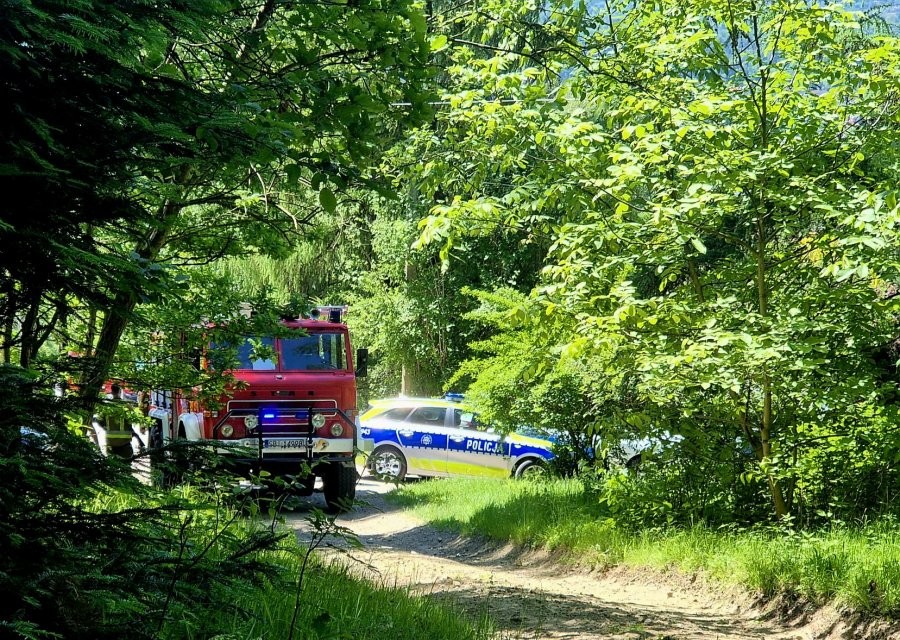 Akcja gaśnicza na  Łysej Górze. Skrajna głupota mogła doprowadzić do pożaru lasu - foto