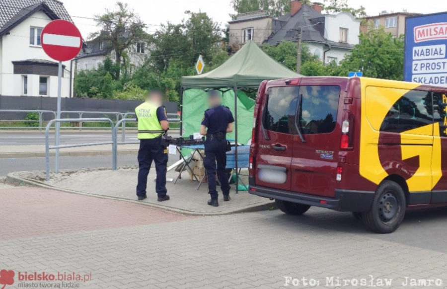 Handlowała truskawkami bez zezwolenia. Patrol straży miejskiej ukarał ją mandatem - foto