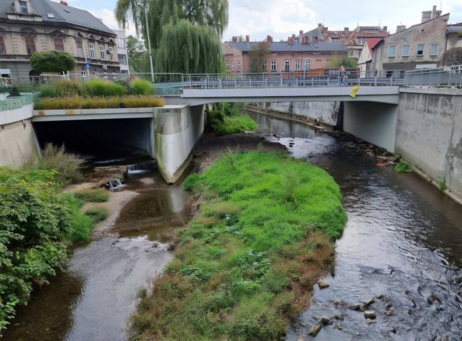 Dramatyczna interwencja w centrum, 19-latek chciał skoczyć z mostu. Na pomoc ruszyli świadkowie