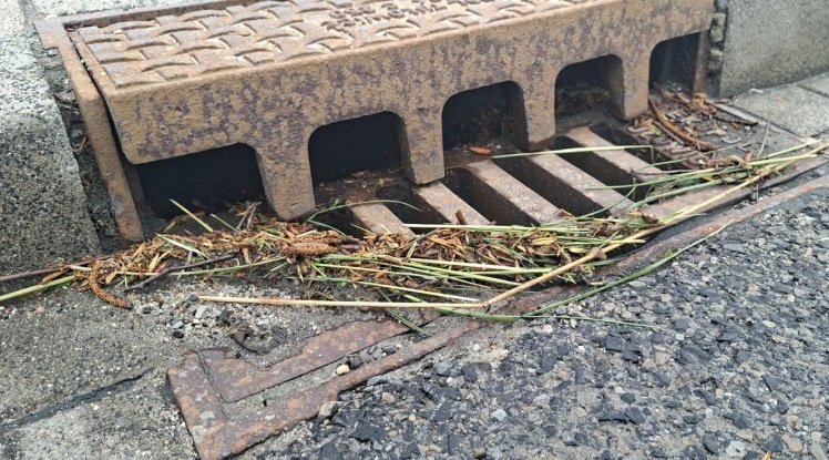 Kratki zapchane trawą po koszeniu. Wczorajsza ulewa kolejny raz obnażyła stan infrastruktury - foto