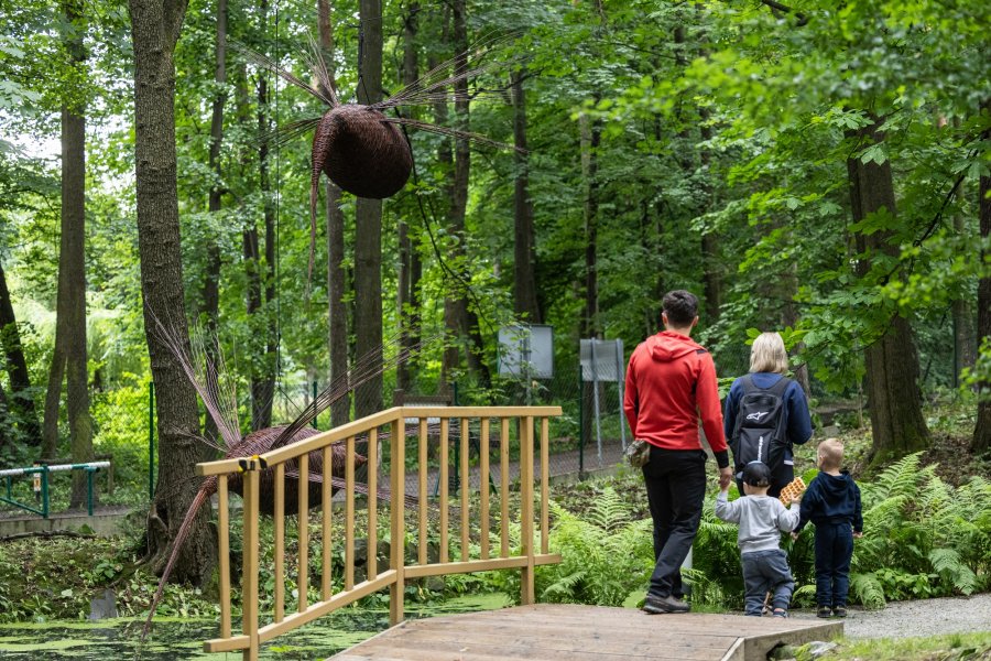 Ratownicy radzą jak wędrować. Nowy szlak edukacyjny powstał w Cygańskim Lesie - foto