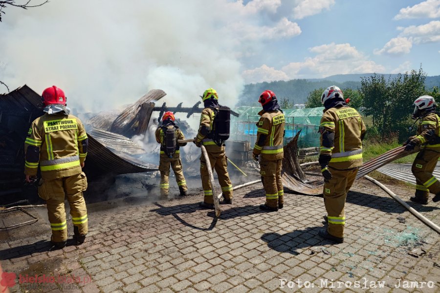 Pożar wiaty z drewnem, nadpaleniu uległ samochód. Z ogniem walczyły cztery zastępy - foto
