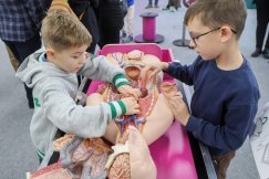 Centrum Nauki Kopernik przyjechało do Bielska-Białej. Naukowe miasteczko czeka na lotnisku - foto