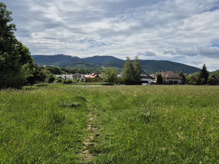 Dwa hektary w Kamienicy idą na sprzedaż. Podpisy mieszkańców pod sprzeciwem wyrzucone do kosza
