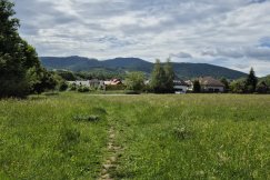 Dwa hektary w Kamienicy idą na sprzedaż. Podpisy mieszkańców pod sprzeciwem wyrzucone do kosza