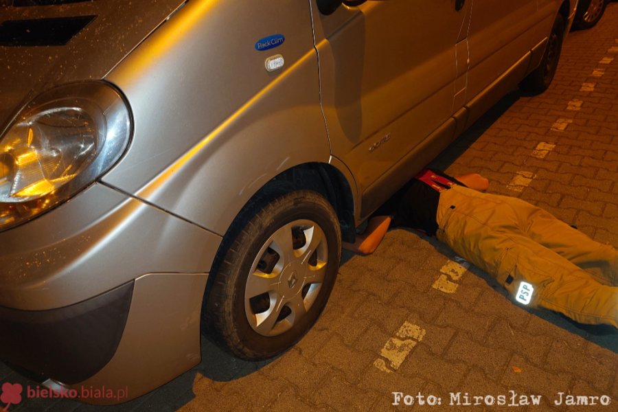Akcja „Pantera” na bielskim osiedlu! Nocna interwencja służb, by ocalić małego czworonoga - foto