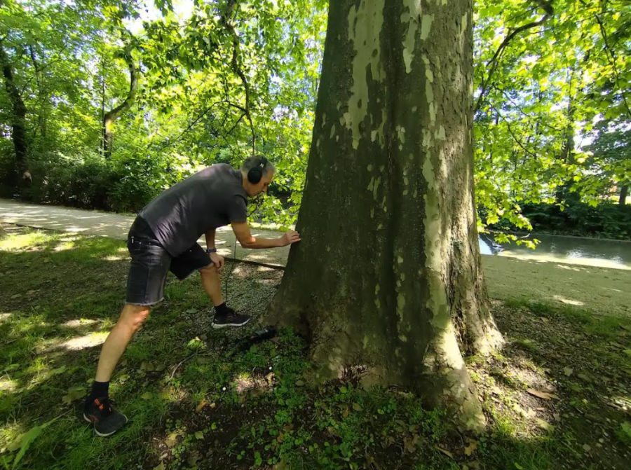 Jak brzmią drzewa? Niezwykła trasa brytyjskiego kompozytora zahaczyła o Bielsko-Białą - foto