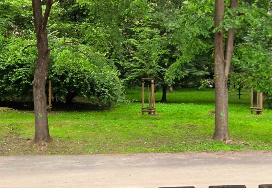 Oznaczyli ponad 40 drzew w osiedlowym parku. Ratusz uspokaja, że to nie plan ich wycinki - foto