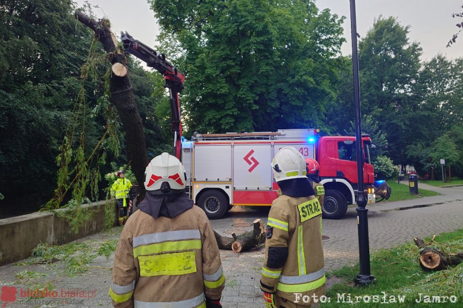 Potężne drzewo w korycie rzeki, użyto HDS-a. Ponad dwieście wyjazdów strażaków! - foto